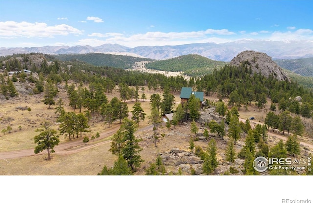 810 Manhead Mountain Dr, Livermore, CO 80536 - view of mountain backdrop