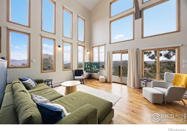 810 Manhead Mountain Dr, Livermore, CO 80536 - living room with a high ceiling and wood finished floors