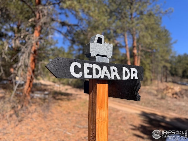 147 Cedar Dr, Lyons, CO 80540 - exterior view