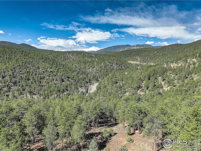 147 Cedar Dr, Lyons, CO 80540 - mountain view featuring a heavily wooded area