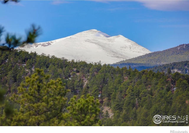 147 Cedar Dr, Lyons, CO 80540 - mountain view featuring a forest