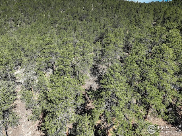 147 Cedar Dr, Lyons, CO 80540 - aerial view of a heavily wooded area