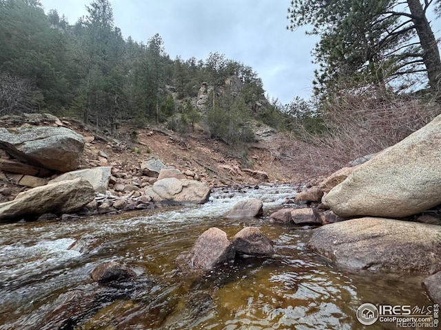 147 Cedar Dr, Lyons, CO 80540 - view of wooded area