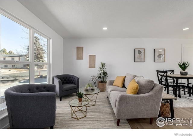 4752 E 108th Pl, Thornton, CO 80233 - living room with wood finished floors and recessed lighting