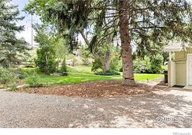 1247 Westview Dr, Boulder, CO 80303 - view of yard