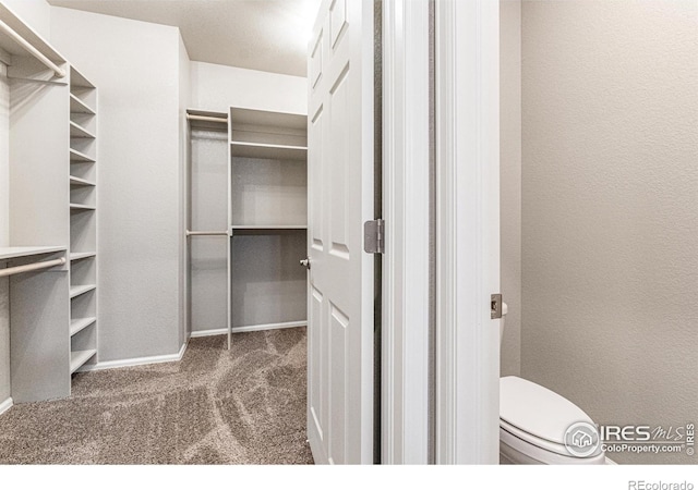 1780 Floret Dr, Windsor, CO 80550 - photo 21
