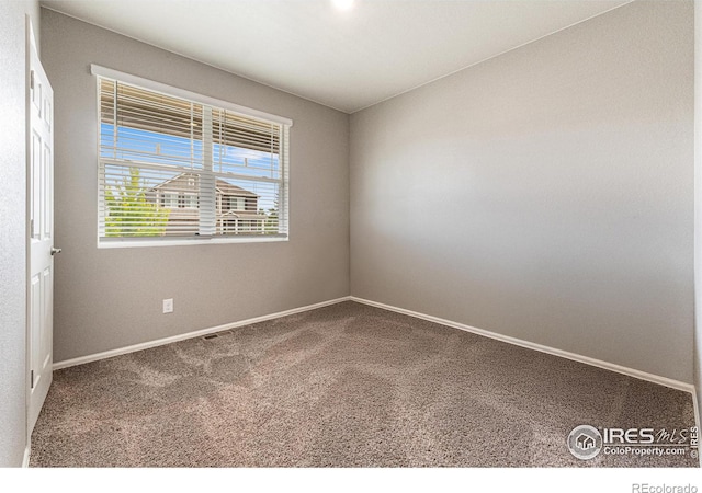 1780 Floret Dr, Windsor, CO 80550 - photo 23