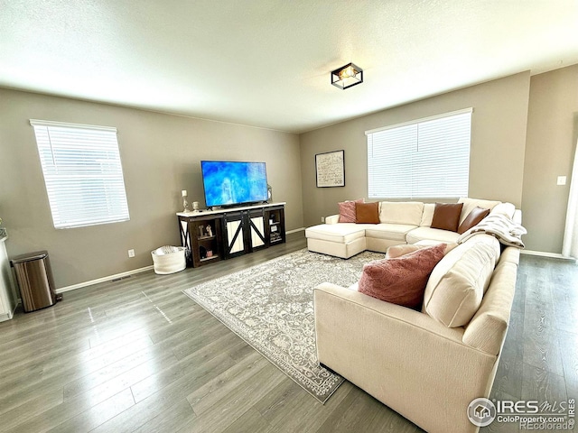 1780 Floret Dr, Windsor, CO 80550 - photo 11