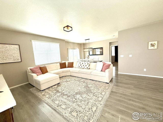 1780 Floret Dr, Windsor, CO 80550 - photo 13