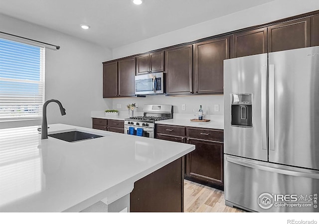 kitchen with light wood finished floors, a sink, dark brown cabinetry, light countertops, and appliances with stainless steel finishes