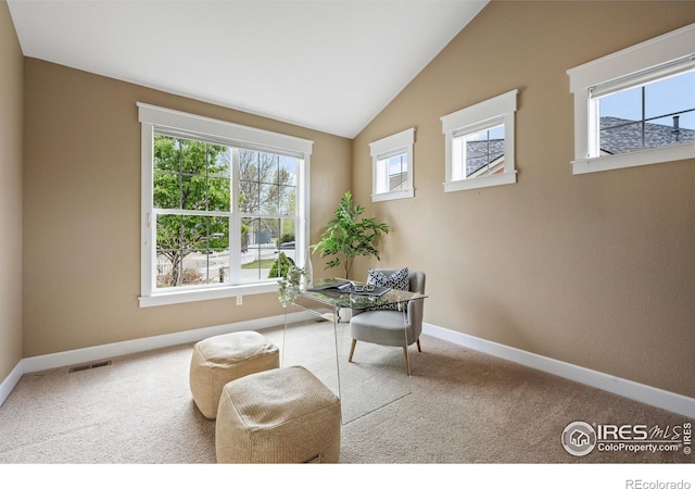 3122 Notabon Ct, Lafayette, CO 80026 - sitting room with carpet floors, baseboards, and visible vents
