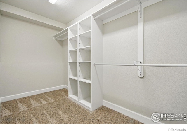 3122 Notabon Ct, Lafayette, CO 80026 - spacious closet featuring carpet flooring