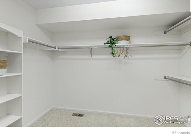 903 Northern Way, Superior, CO 80027 - photo 22