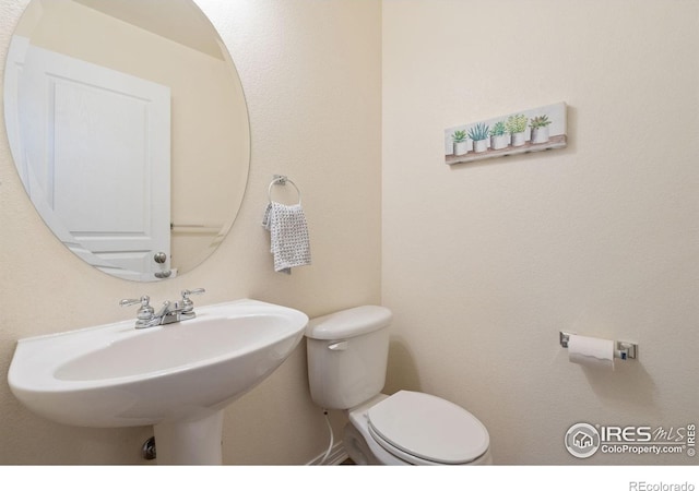 2626 Autumn Harvest Way, Fort Collins, CO 80528 - photo 17