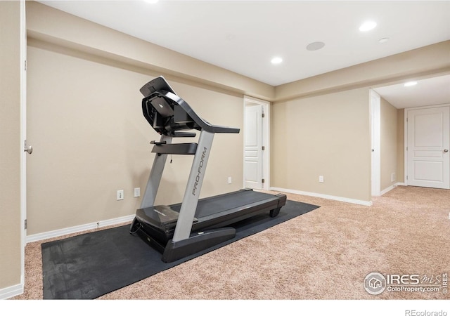 2626 Autumn Harvest Way, Fort Collins, CO 80528 - photo 30