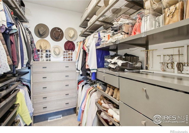267 Clementina St, Louisville, CO 80027 - view of spacious closet