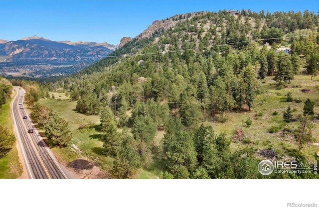 15 Estes Valley View Ct, Estes Park, CO 80517 - photo 5