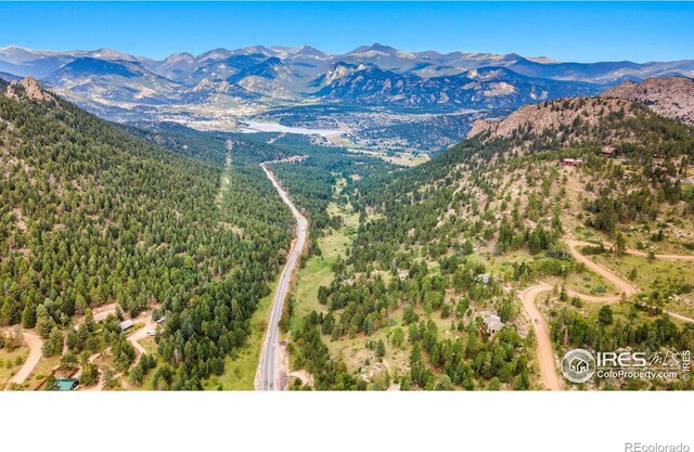 15 Estes Valley View Ct, Estes Park, CO 80517 - photo 6
