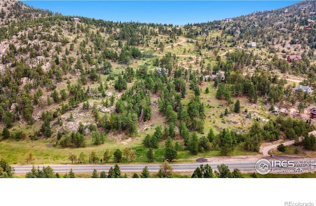 15 Estes Valley View Ct, Estes Park, CO 80517 - photo 7