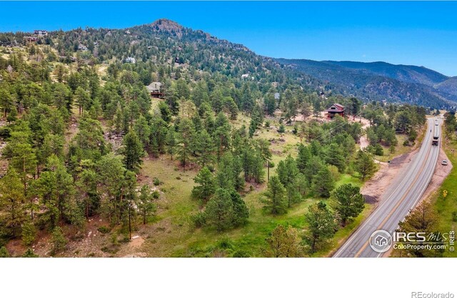 15 Estes Valley View Ct, Estes Park, CO 80517 - photo 8