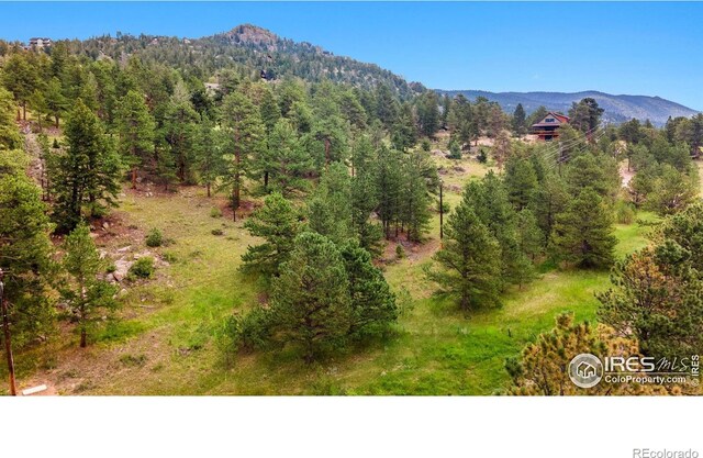 15 Estes Valley View Ct, Estes Park, CO 80517 - photo 10