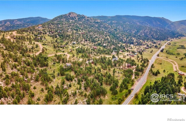 15 Estes Valley View Ct, Estes Park, CO 80517 - photo 11