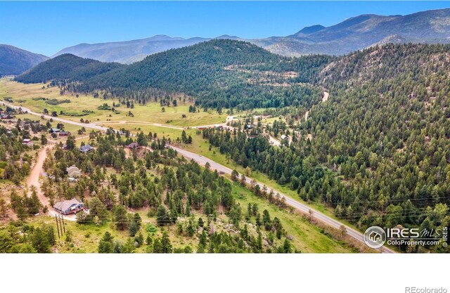 15 Estes Valley View Ct, Estes Park, CO 80517 - photo 13