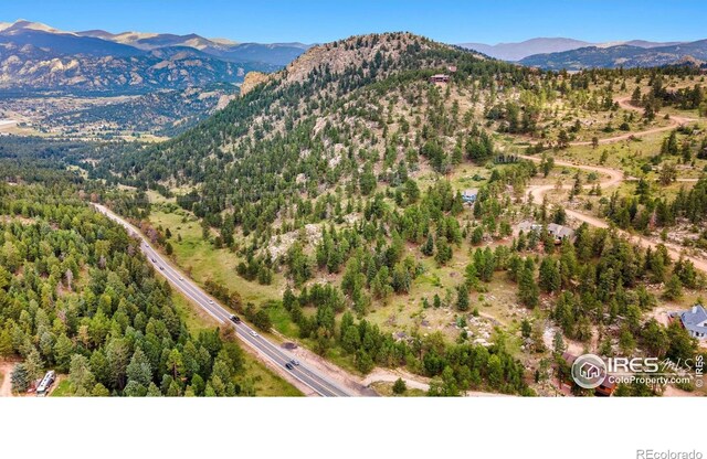 15 Estes Valley View Ct, Estes Park, CO 80517 - photo 14