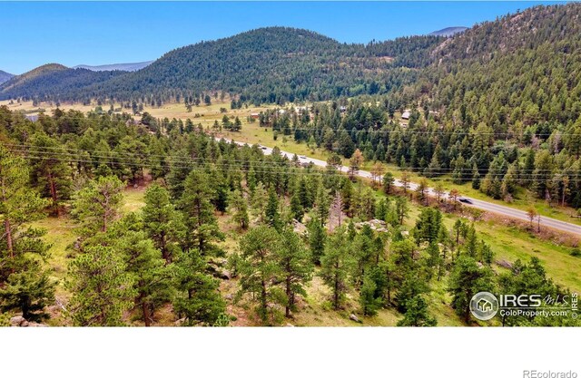 15 Estes Valley View Ct, Estes Park, CO 80517 - photo 15