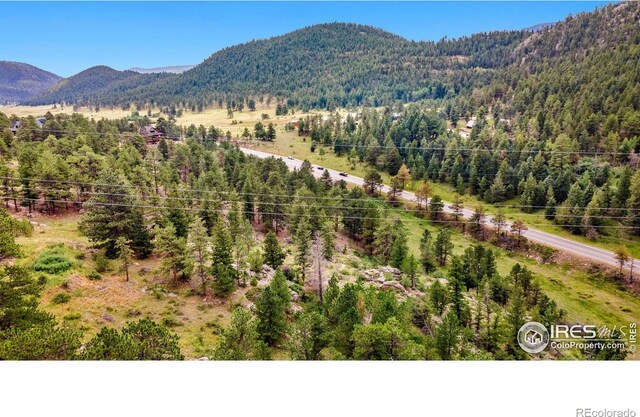 15 Estes Valley View Ct, Estes Park, CO 80517 - photo 16