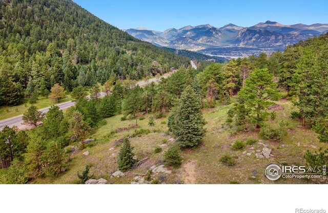 15 Estes Valley View Ct, Estes Park, CO 80517 - photo 17