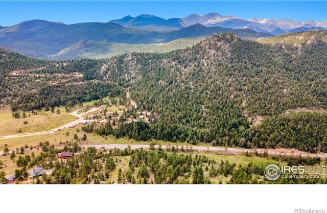 15 Estes Valley View Ct, Estes Park, CO 80517 - photo 18