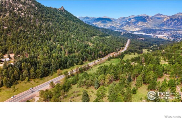 15 Estes Valley View Ct, Estes Park, CO 80517 - photo 19