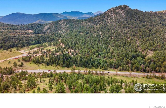 15 Estes Valley View Ct, Estes Park, CO 80517 - photo 20