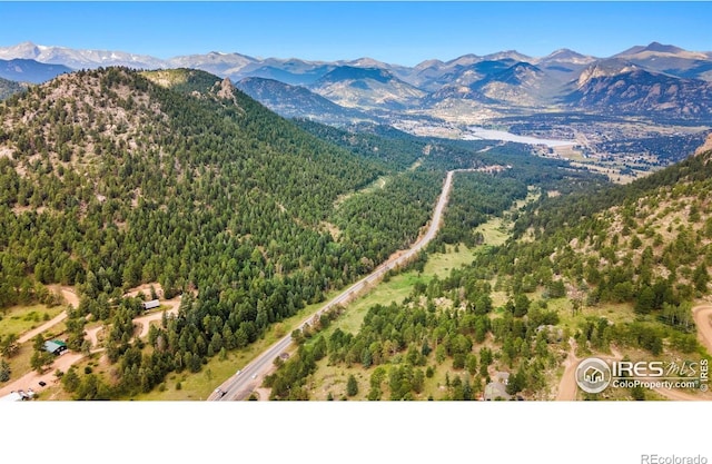 15 Estes Valley View Ct, Estes Park, CO 80517 - photo 21
