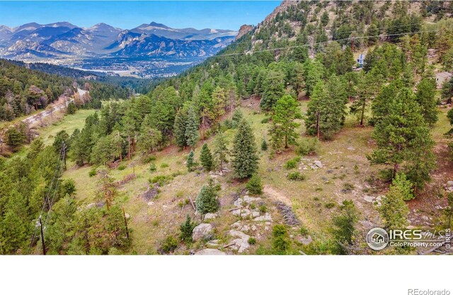 15 Estes Valley View Ct, Estes Park, CO 80517 - photo 22