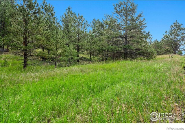 15 Estes Valley View Ct, Estes Park, CO 80517 - photo 23
