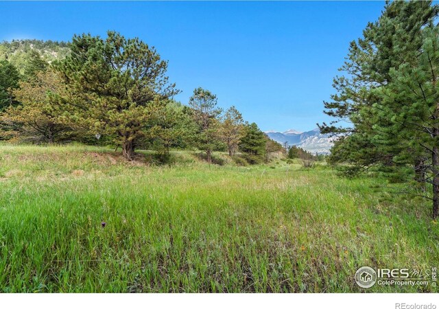 15 Estes Valley View Ct, Estes Park, CO 80517 - photo 24