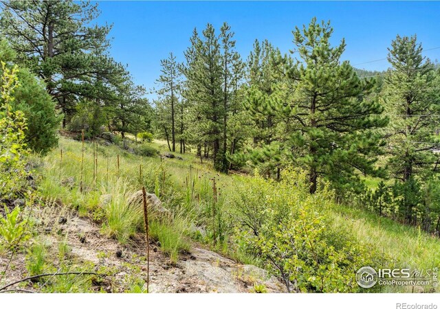 15 Estes Valley View Ct, Estes Park, CO 80517 - photo 25