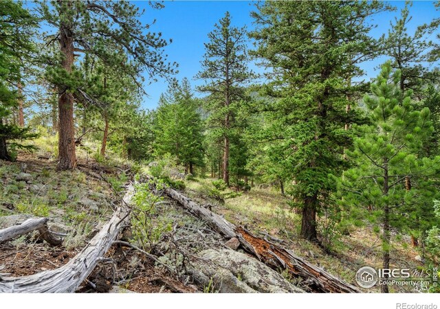15 Estes Valley View Ct, Estes Park, CO 80517 - photo 26
