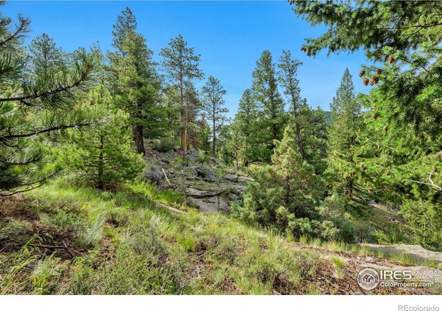 15 Estes Valley View Ct, Estes Park, CO 80517 - photo 27