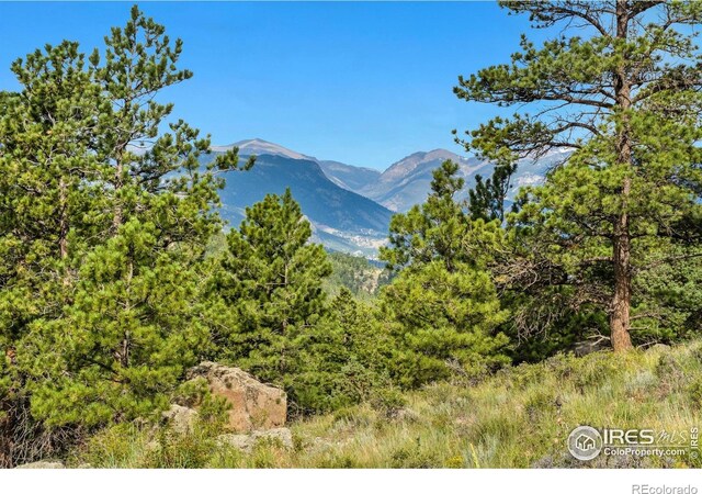 15 Estes Valley View Ct, Estes Park, CO 80517 - photo 28