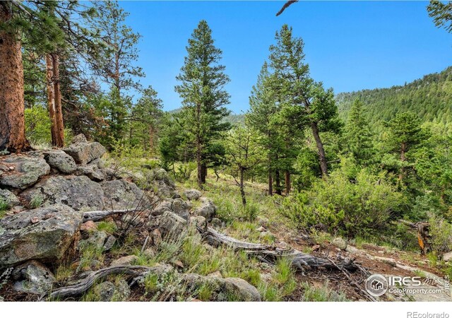 15 Estes Valley View Ct, Estes Park, CO 80517 - photo 29