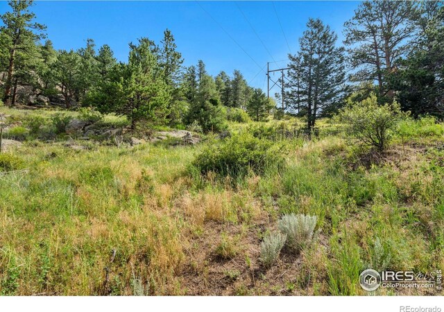 15 Estes Valley View Ct, Estes Park, CO 80517 - photo 30