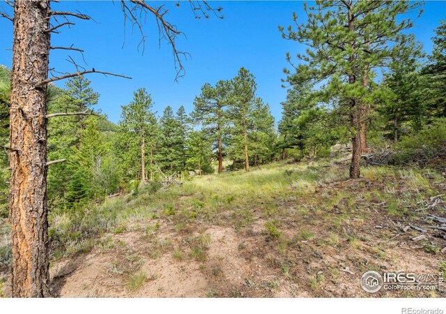 15 Estes Valley View Ct, Estes Park, CO 80517 - photo 31
