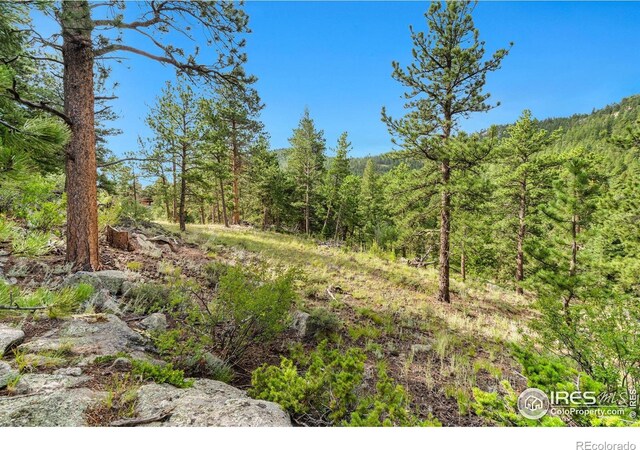 15 Estes Valley View Ct, Estes Park, CO 80517 - photo 32