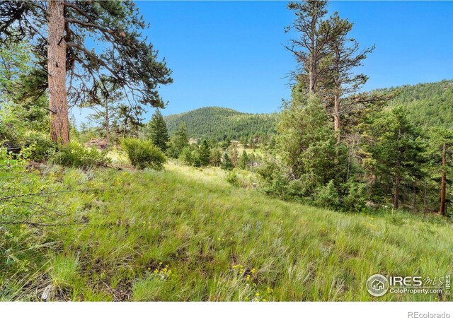 15 Estes Valley View Ct, Estes Park, CO 80517 - photo 33