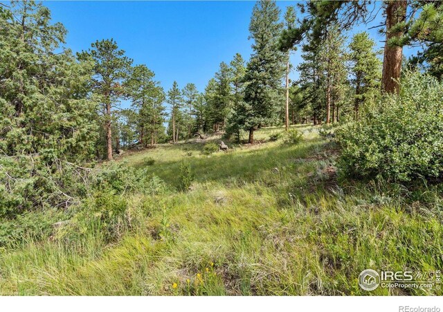 15 Estes Valley View Ct, Estes Park, CO 80517 - photo 34