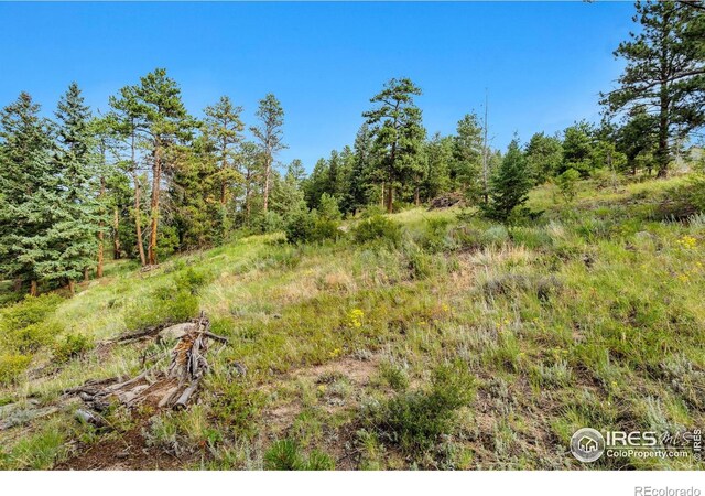 15 Estes Valley View Ct, Estes Park, CO 80517 - photo 35