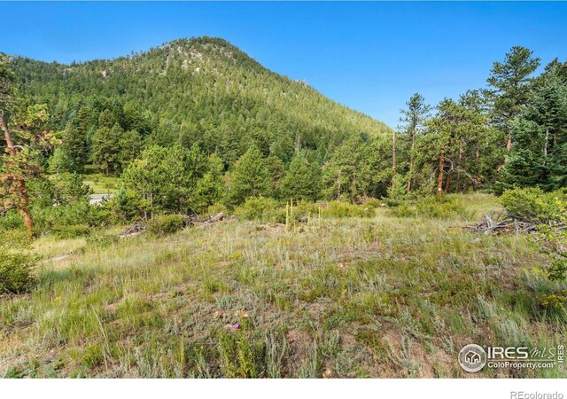 15 Estes Valley View Ct, Estes Park, CO 80517 - photo 36